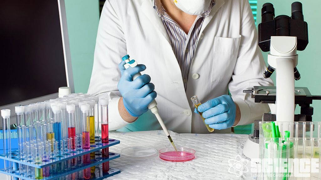 Tesis İzleme ve Destek