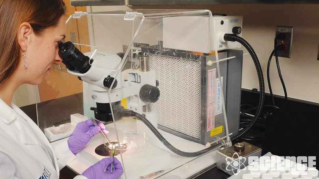 Homologasyon Test ve Onay Hizmetleri