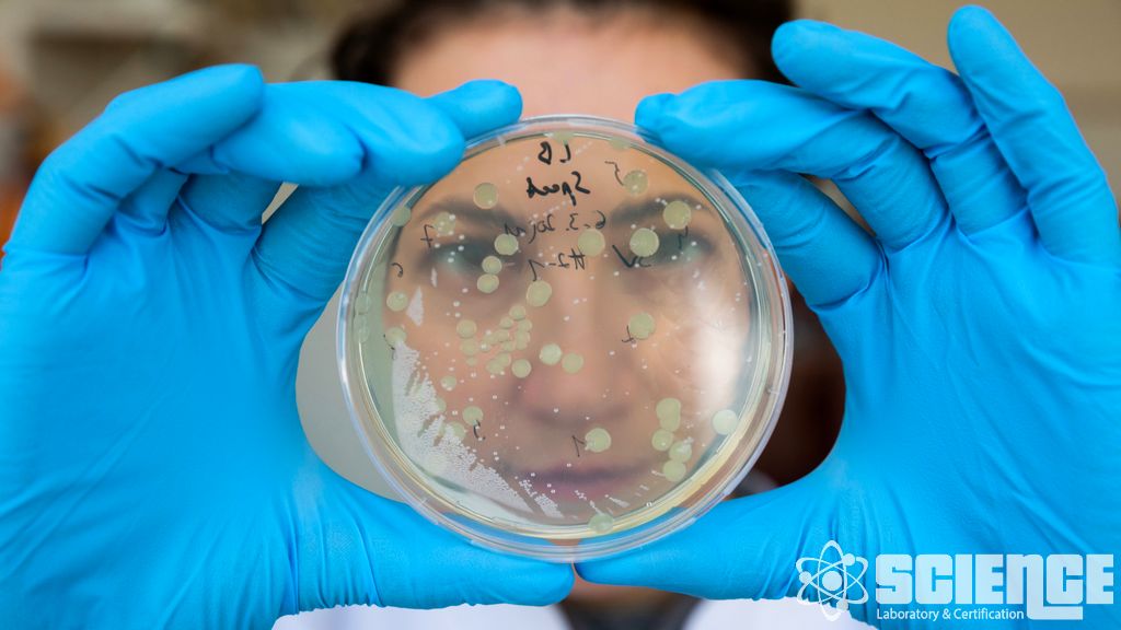 Tıbbi Viral Penetrasyon Testi