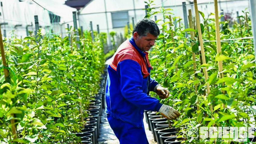 Tohum Güvenliği Çalışmaları ve Depolama Denemeleri