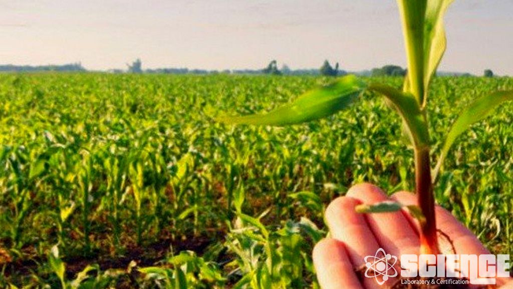 Tohum İthalatı ve İhracatı