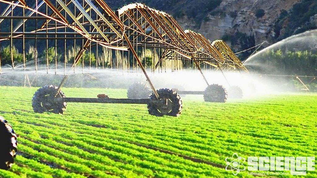 Tohum Kalitesi Analizleri