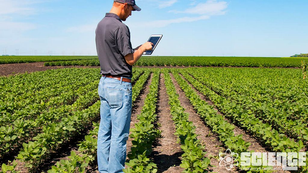 Tohum Sağlığı Testi
