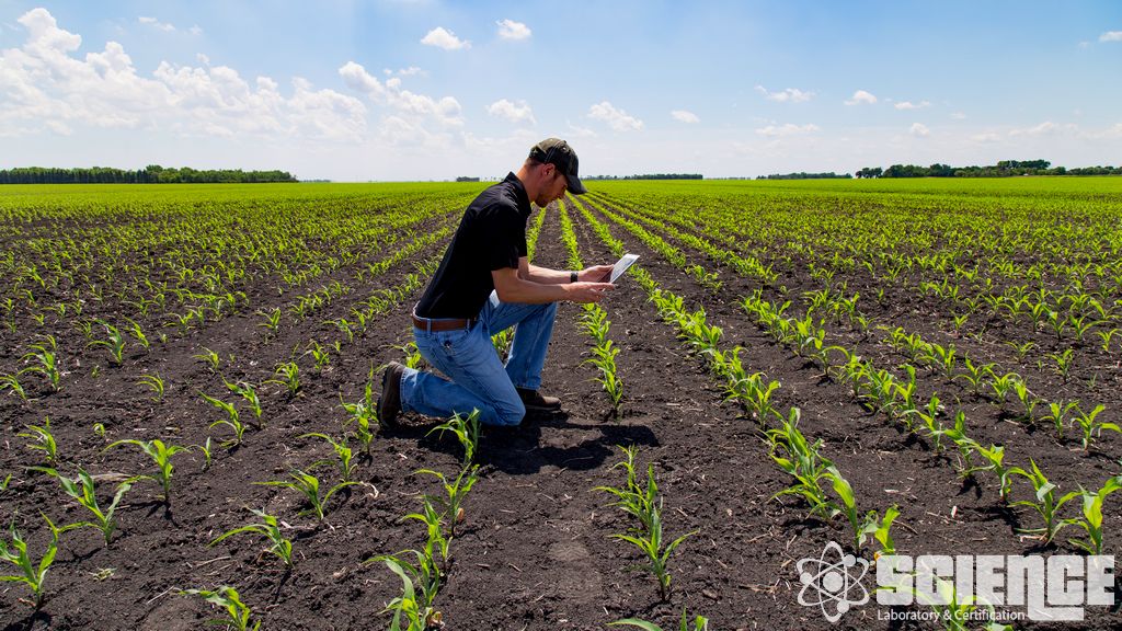 Tohum Sağlığı Testleri