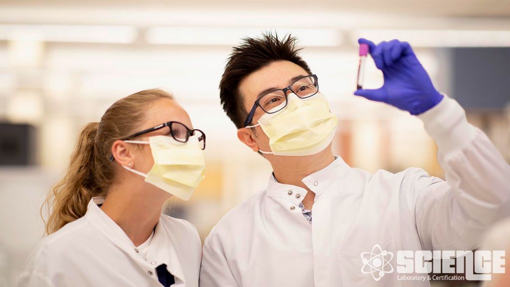 Toksik ve Kısıtlı Maddeler Listesi (RSL) Testi