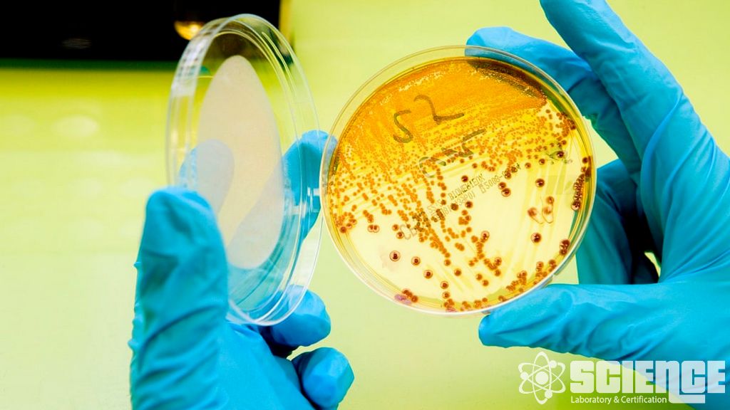 Topikal Dozaj Formları için Testler