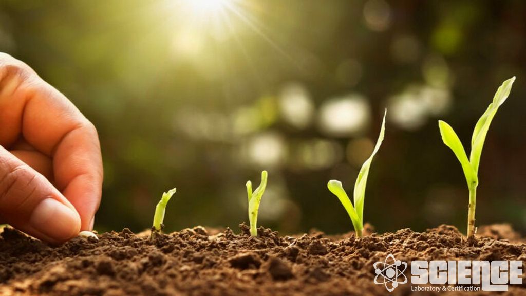 Toprak Örneklemesi, Haritalama, Sınıflandırma