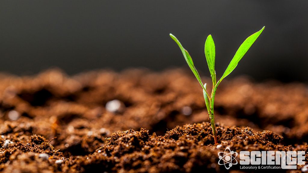 Toprak Verimliliği Testi