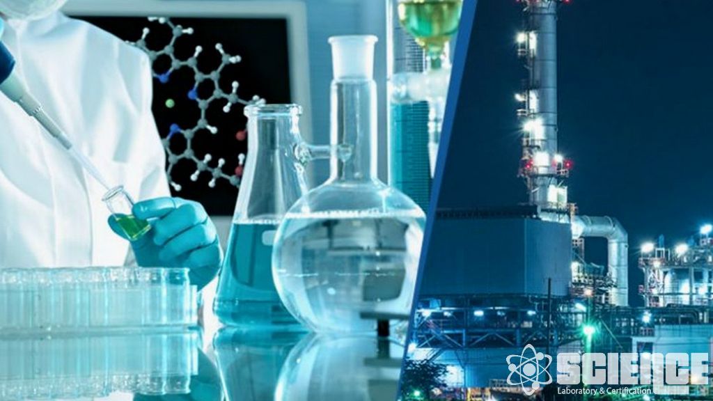 Tortu ve Çamur Testi