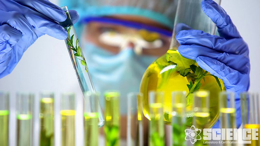 Tozlayıcı Çalışmaları