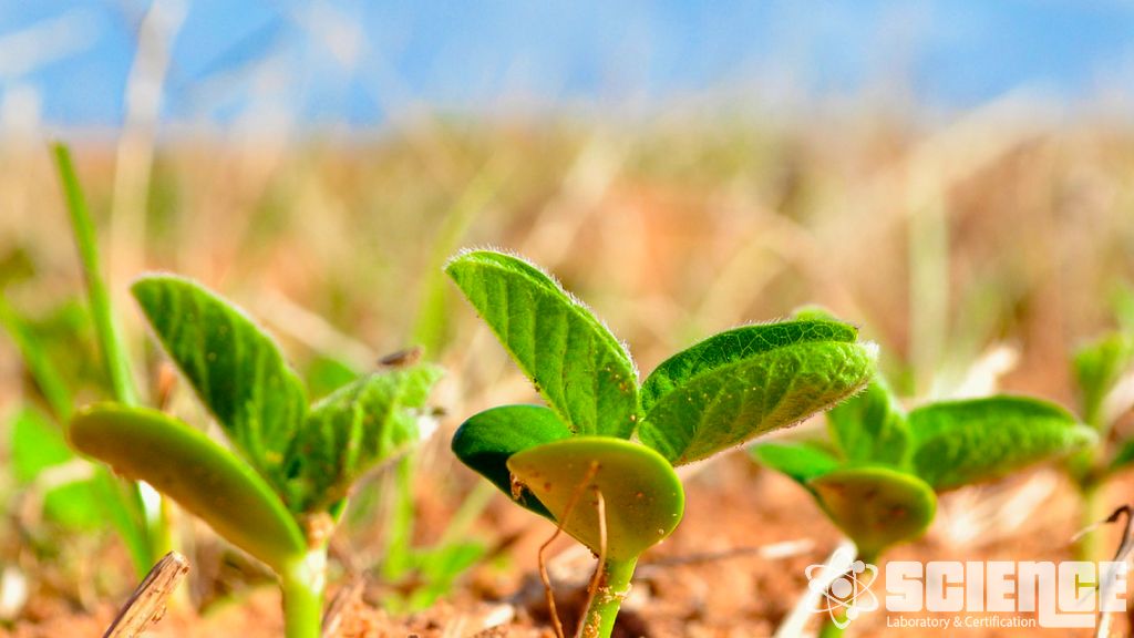 Tozlayıcı Kalıntı Analizleri