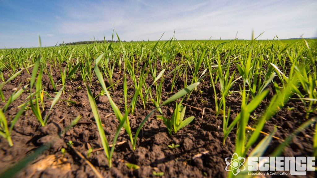 Tozlayıcı Testleri