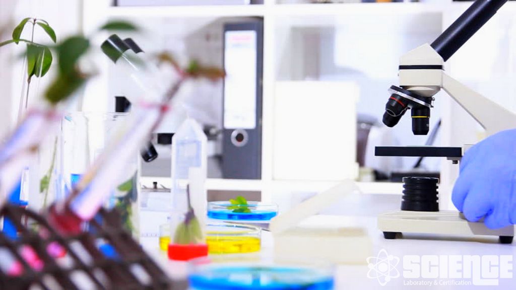 Tür Analizi Testleri