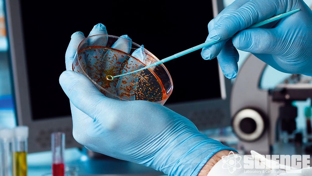 Ürün Sterilite İzolatör Testi