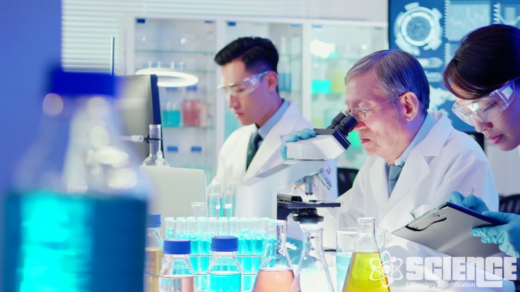 Viral Güvenlik Testi