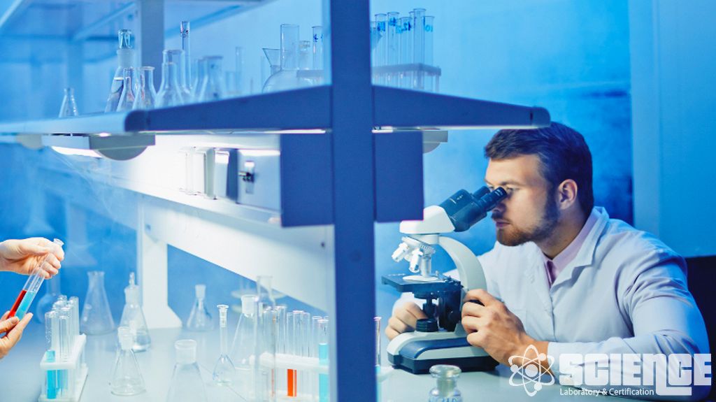 Viral Temizleme Hizmeti