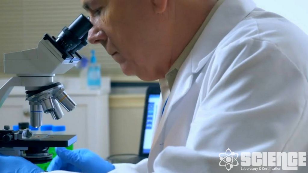 Yağ Özgünlük, Acılık ve Stabilite Testleri