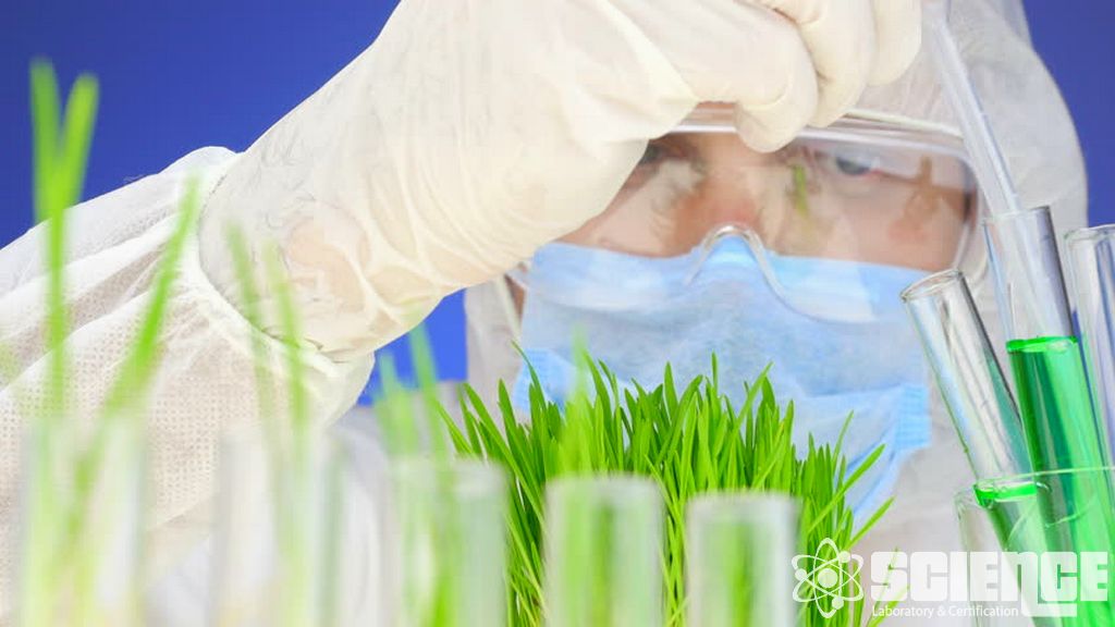 Yarı Uçucu Maddeler Testi