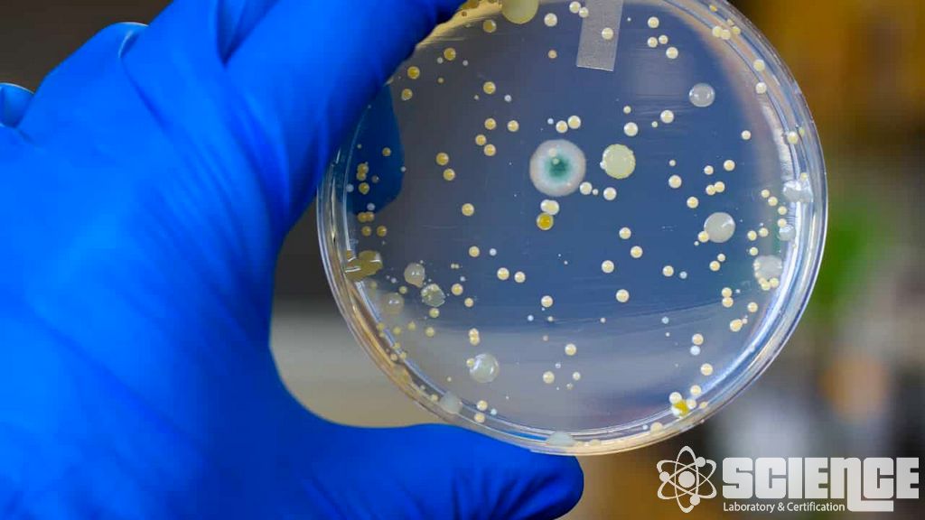 Yeniden Kullanılabilir Cihazlar için Sterilizasyon Validasyonu Testi