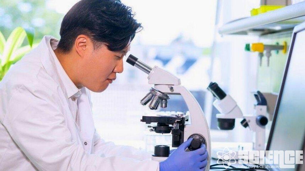 Yiyecek Paket Testleri