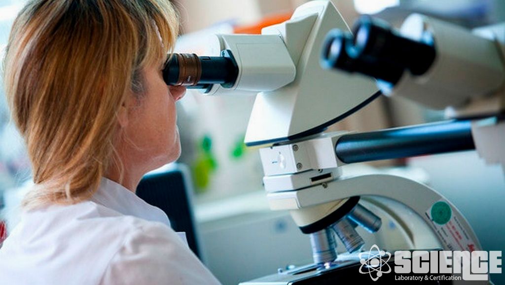 Yiyecek ve İçecek Testleri