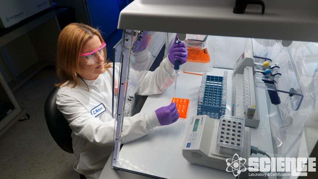 Yüz Maskeleri için Mikrobiyal Temizlik