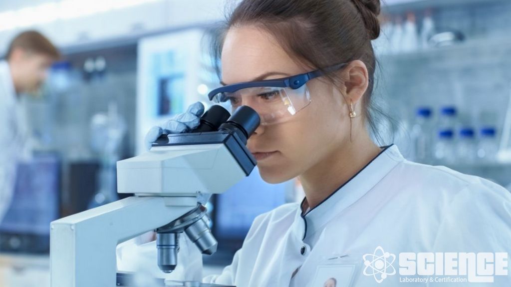 Zorla Bozunma Çalışmaları